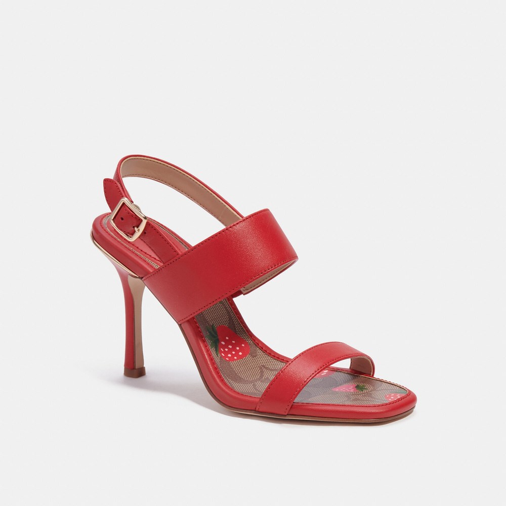 NWT Coach Outlet Rori Sandal